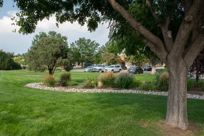 Well-maintained outdoor space with trees and lawn