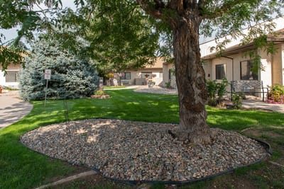 Outdoor space with landscaped areas and building in background