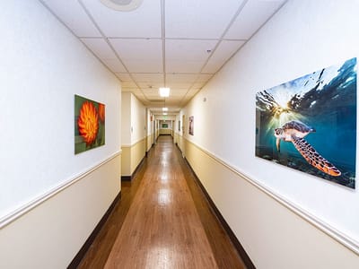 Interior hallway with colorful artwork on walls