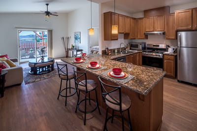 Modern interior of a kitchen and living space