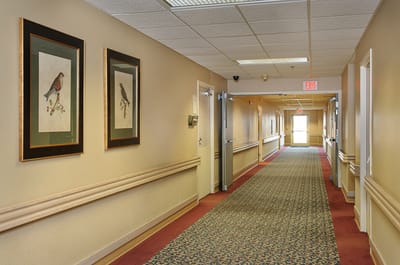 Interior hallway with framed bird art and patterned carpet