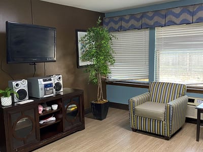 Cozy sitting area with a plant and a television.