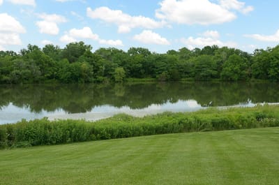 Lush green lawn next to a serene lake