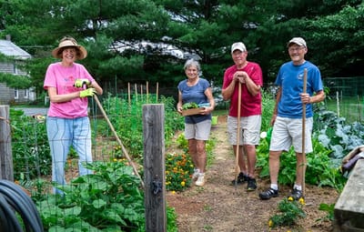 Residents working in a community garden