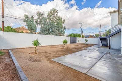 An outdoor space with trees and concrete areas
