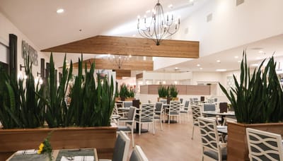 Dining area with plants and elegant decor