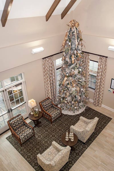 Interior view of a cozy lobby with a large Christmas tree