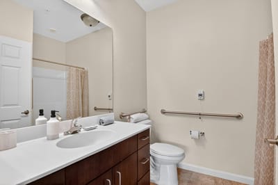 Modern, accessible bathroom with grab bars and toiletries