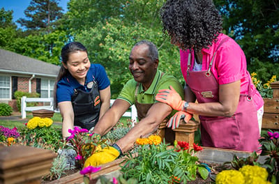 Residents and staff gardening in a colorful flower bed