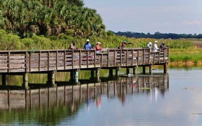Residents enjoying a day on a wooden pier