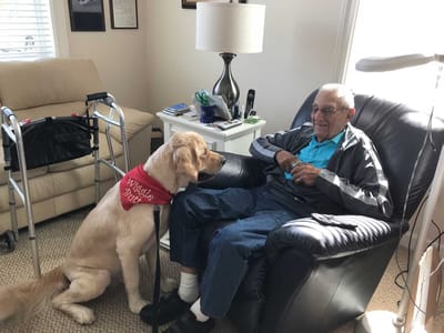 Elderly man sitting with a therapy dog in a cozy room