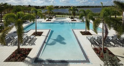 Outdoor pool area with palm trees and lounge chairs