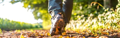 Close-up of a hiking shoe walking on a wooded path