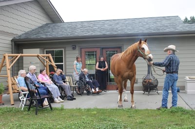 Oak Hill Assisted Living, assisted living in Grand Rapids, MN — Residents enjoying interaction with a horse outside