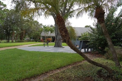 Peaceful outdoor space with palm trees and seating area