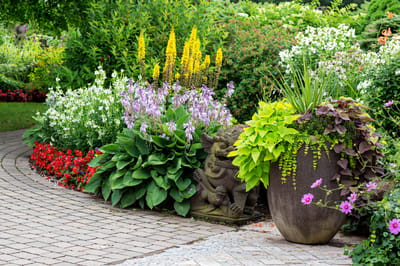 Vibrant outdoor garden with colorful flowers