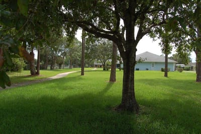 Outdoor view of green lawn with pathways and trees