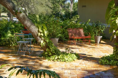A serene outdoor patio area with green plants and seating