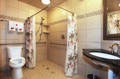 Accessible bathroom with safety features and decorations