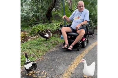 Resident enjoying nature with ducks in an outdoor space