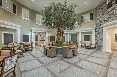 Interior common area with seating and a tree feature