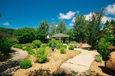A landscaped outdoor area with pathways and greenery