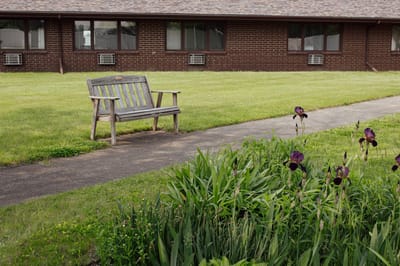 Benches and flowers in a landscaped outdoor area