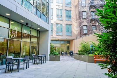 Outdoor seating area with plants and tables