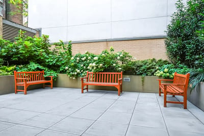 Outdoor seating area surrounded by greenery