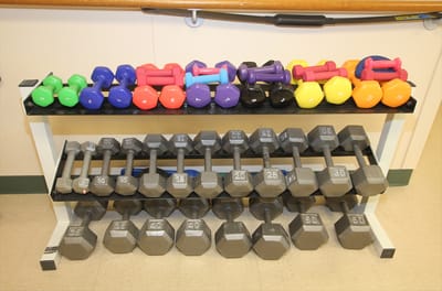 Colorful dumbbells arranged on a rack in a therapy area