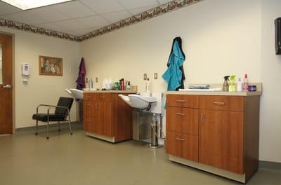 Hair salon area with styling stations