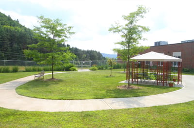 Outdoor patio area with seating and trees