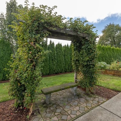 Archway with greenery in a landscaped garden area