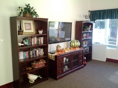 Cozy common area with bookshelves and decorations