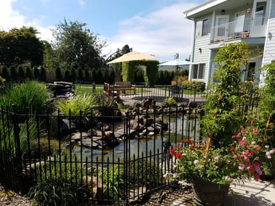 Scenic view of a peaceful outdoor space with a pond