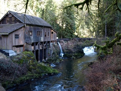Historic wooden building by a river in a forest