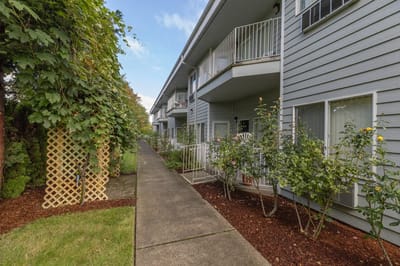 Pathway surrounded by greenery and facility balconies