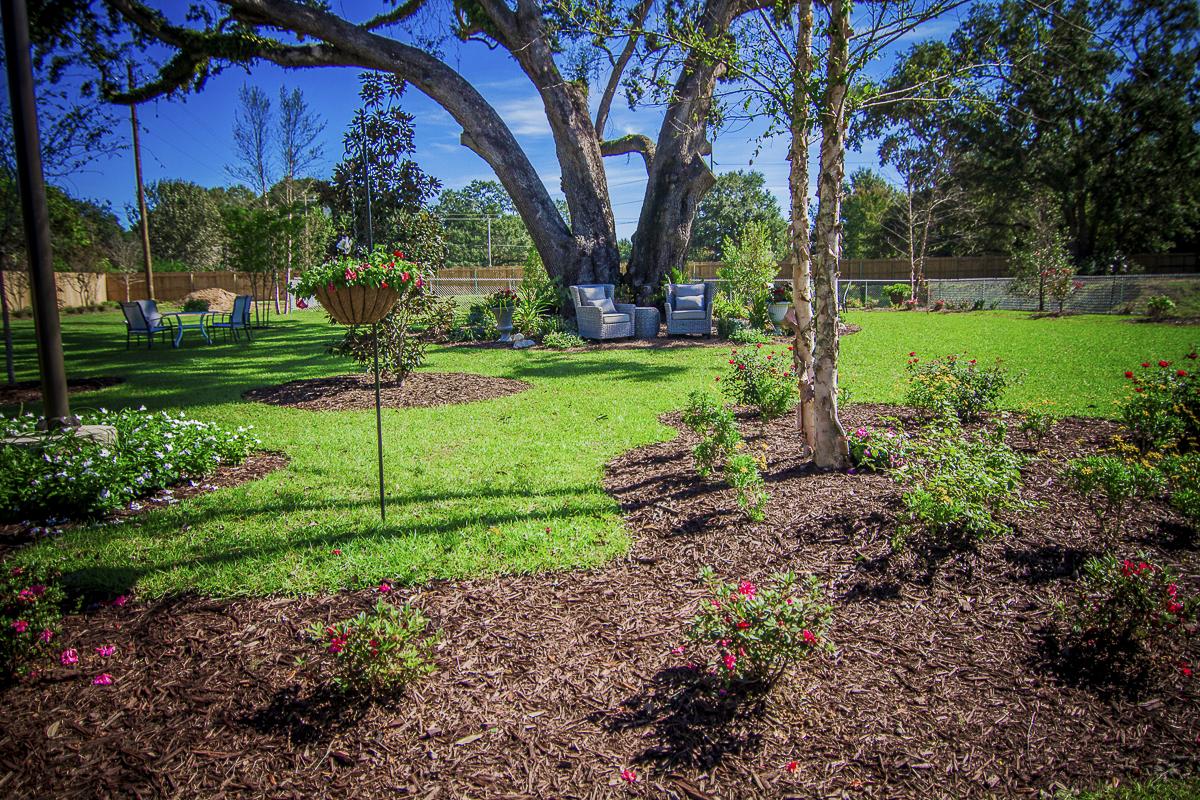 Beautiful outdoor garden area with seating