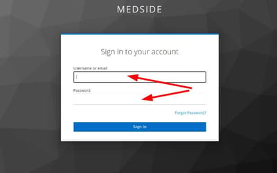 Medside Adult Day Health Center of Stone Mountain, home care in St Mountain, GA — Login screen for account access with fields and buttons
