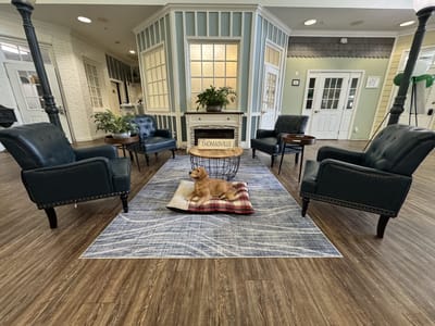 Cozy common area with seating and a dog