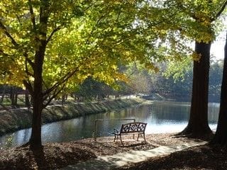 Montclair Assisted Living, assisted living in Decatur, GA — Serene lakeside bench under colorful autumn trees