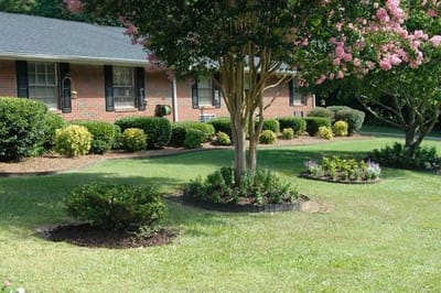 Well-maintained garden area with blooming flowers