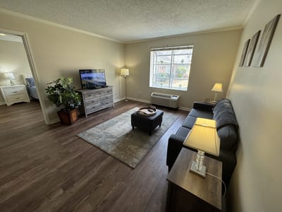 Cozy interior living room with a sofa and television