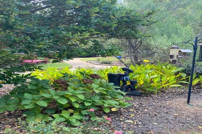 A serene garden area with seating and greenery