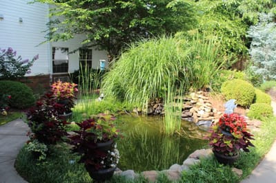 Lush garden area with a pond and flowers