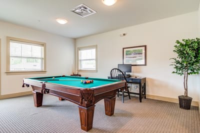 Interior view of a recreational room with a pool table