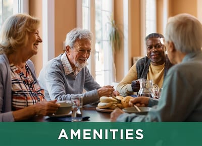 Seniors enjoying a meal together at a dining area