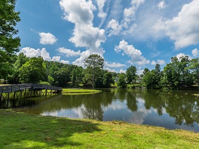 A peaceful outdoor scene by a pond with trees