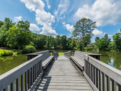 Wooden walkway leading to a calm lake with greenery