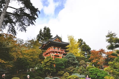 A serene garden with a traditional building in the background